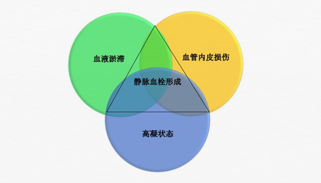 沉默殺手 VTE，如何進(jìn)行抗凝治療？三問搞懂