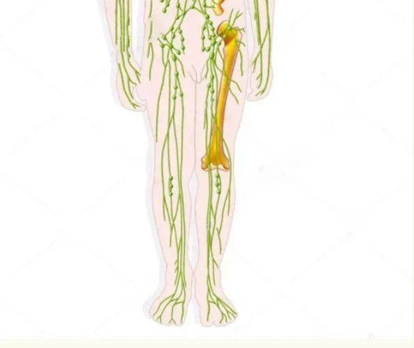 深靜脈血栓類似病癥的認識與區(qū)分