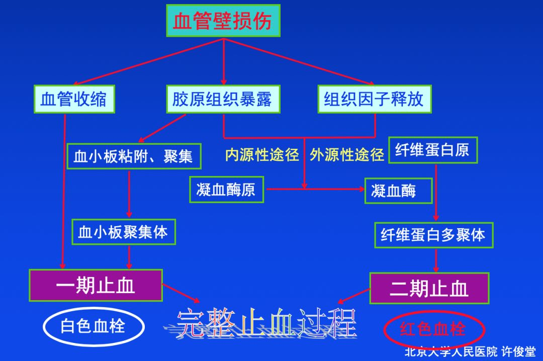 血栓形成，三個要素細分說