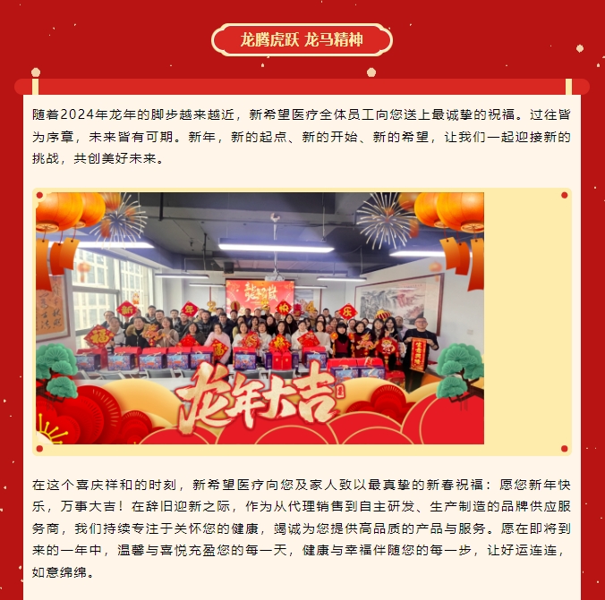 龍嘯新春，共赴新程